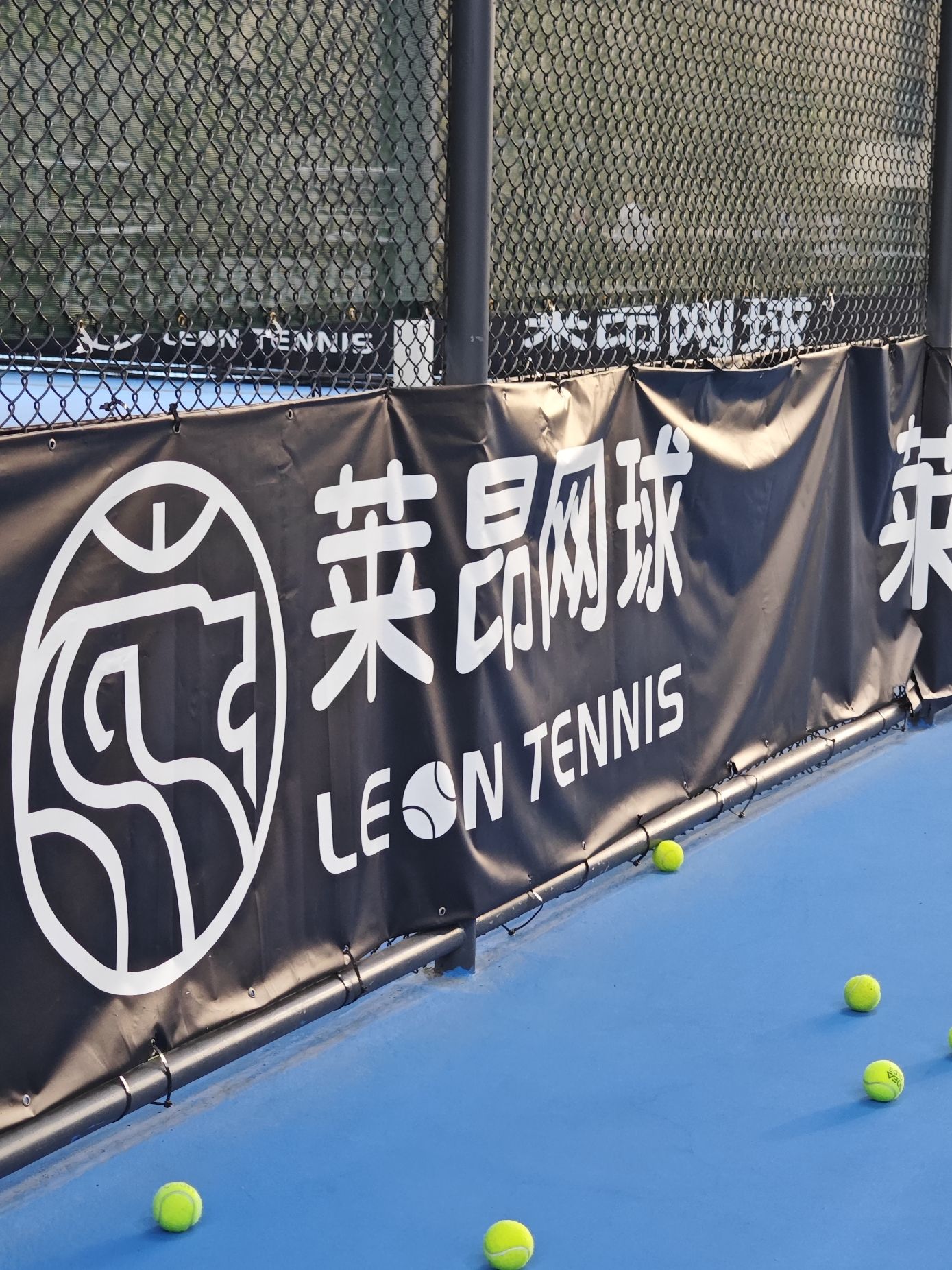 场地封面-莱昂网球