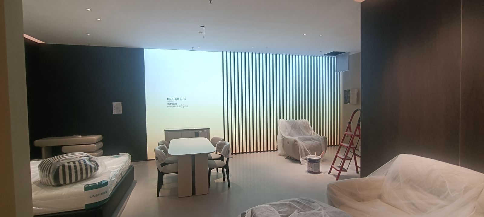 林氏家居(丛台月星店)