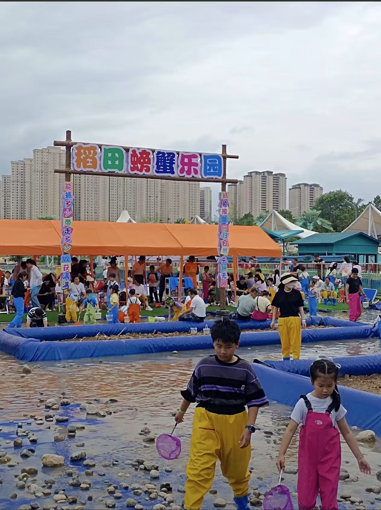 场地封面-稻田螃蟹乐园