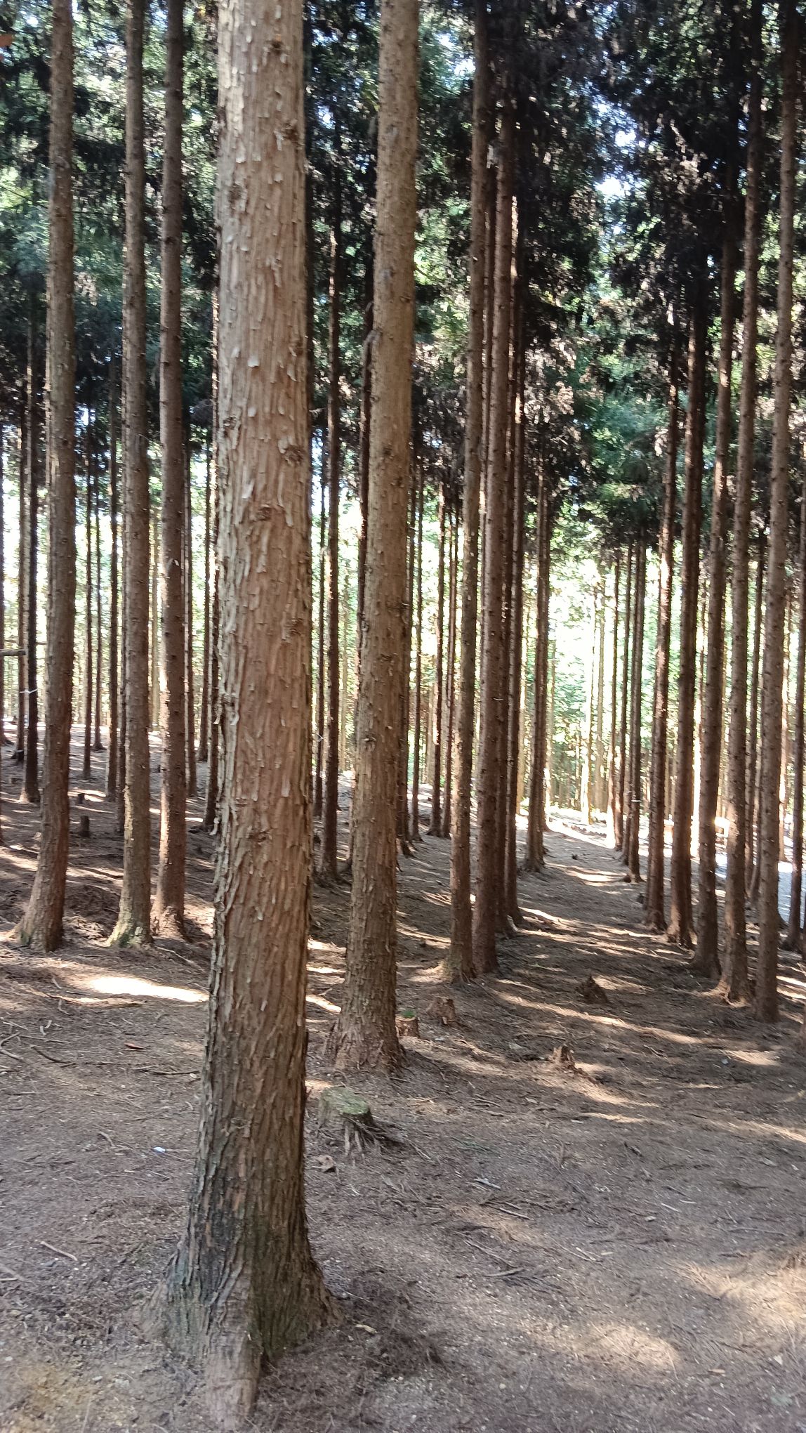 仙峰山旅游度假区