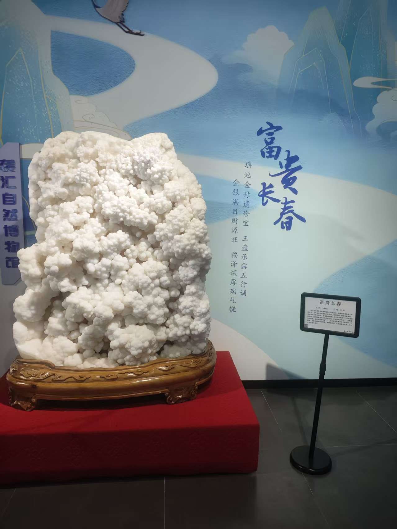 袭汇自然博物馆