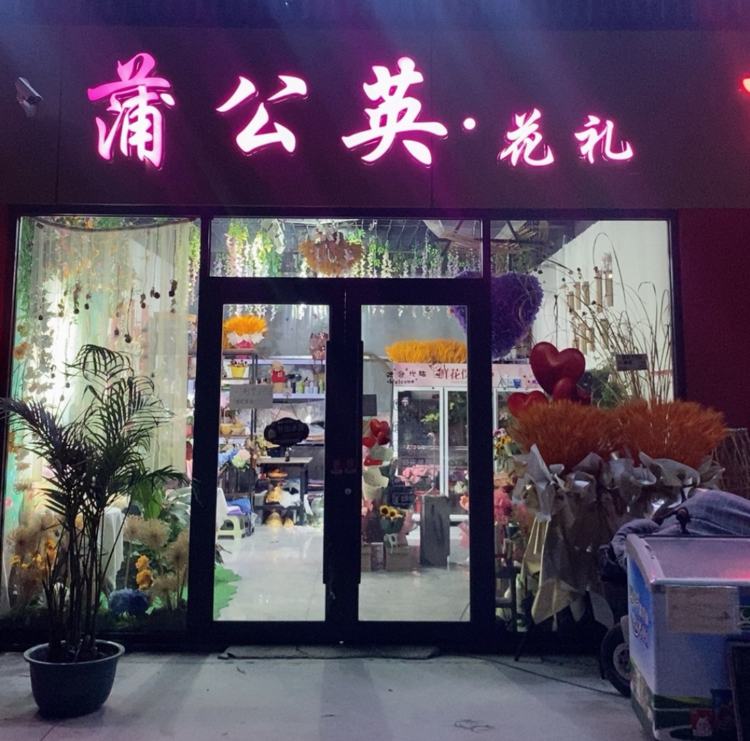 蒲公英的约定