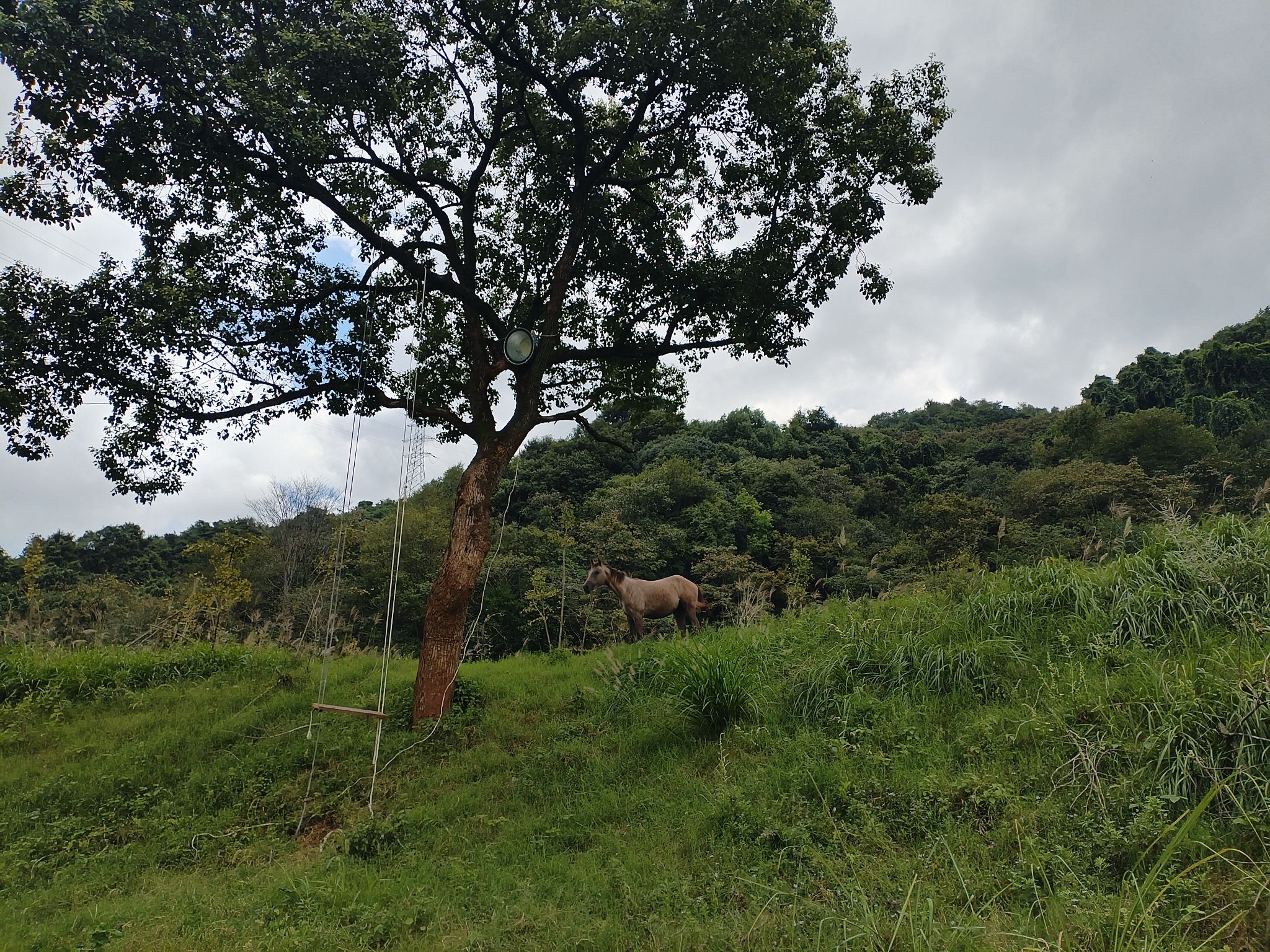 场地封面-杭州山野骑迹马术