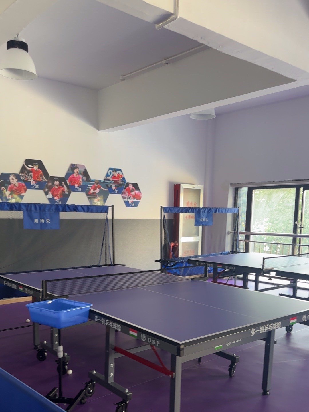 场地封面-多一拍乒乓球馆·老项网球穿线工作室
