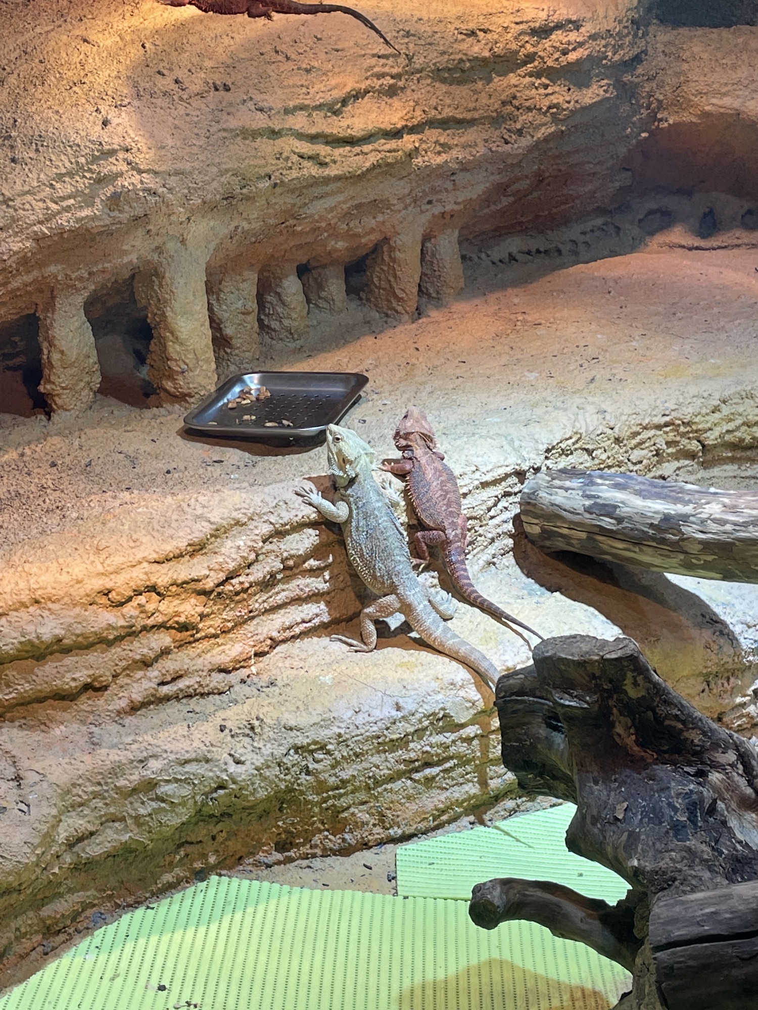 运河生态馆旅行图片 2