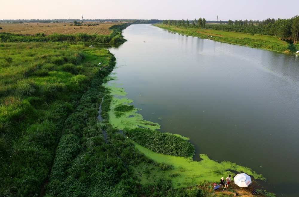 唐河湿地公园观景区