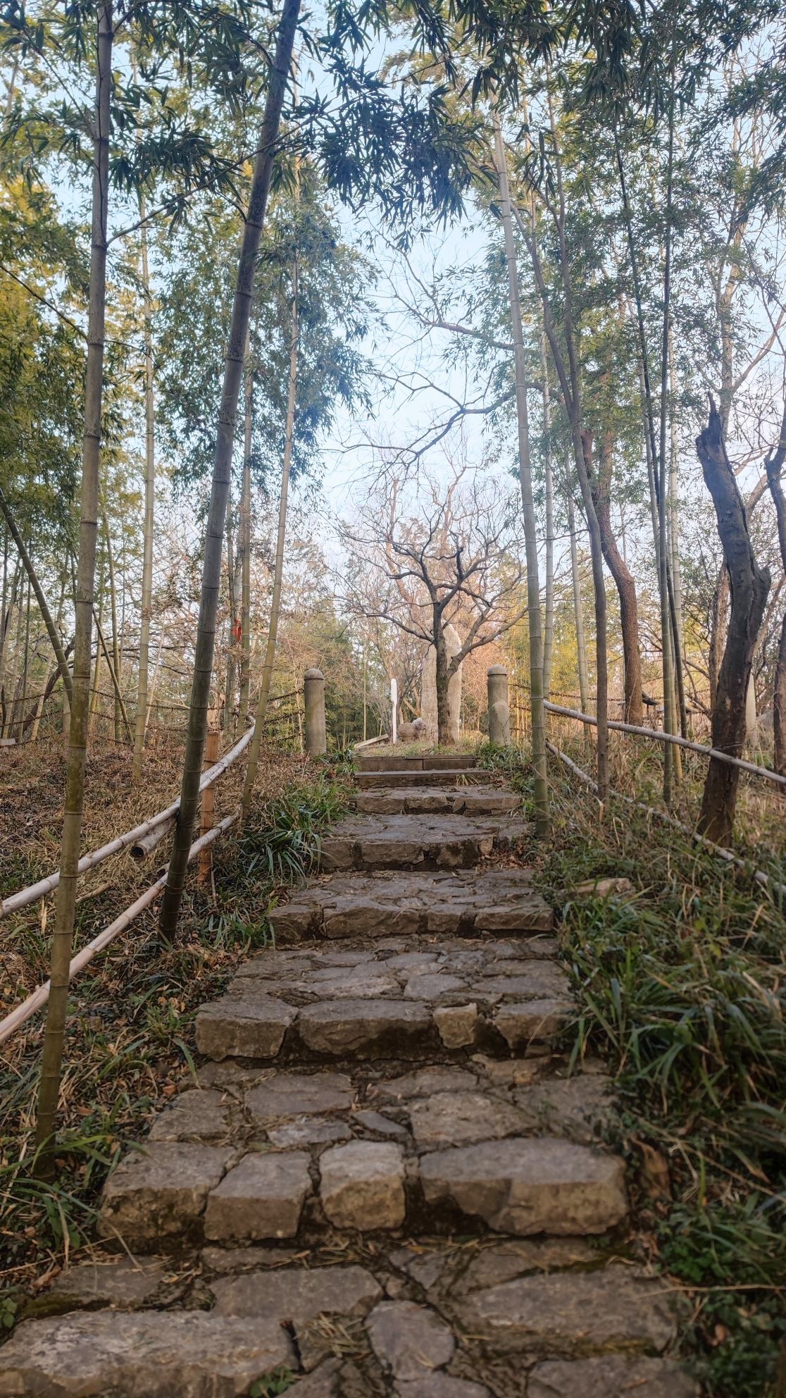 宝华山国家森林公园-凉亭