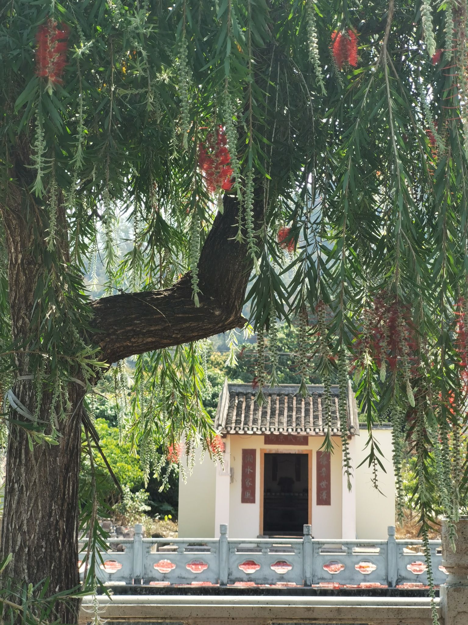 罗氏宗祠实景照片