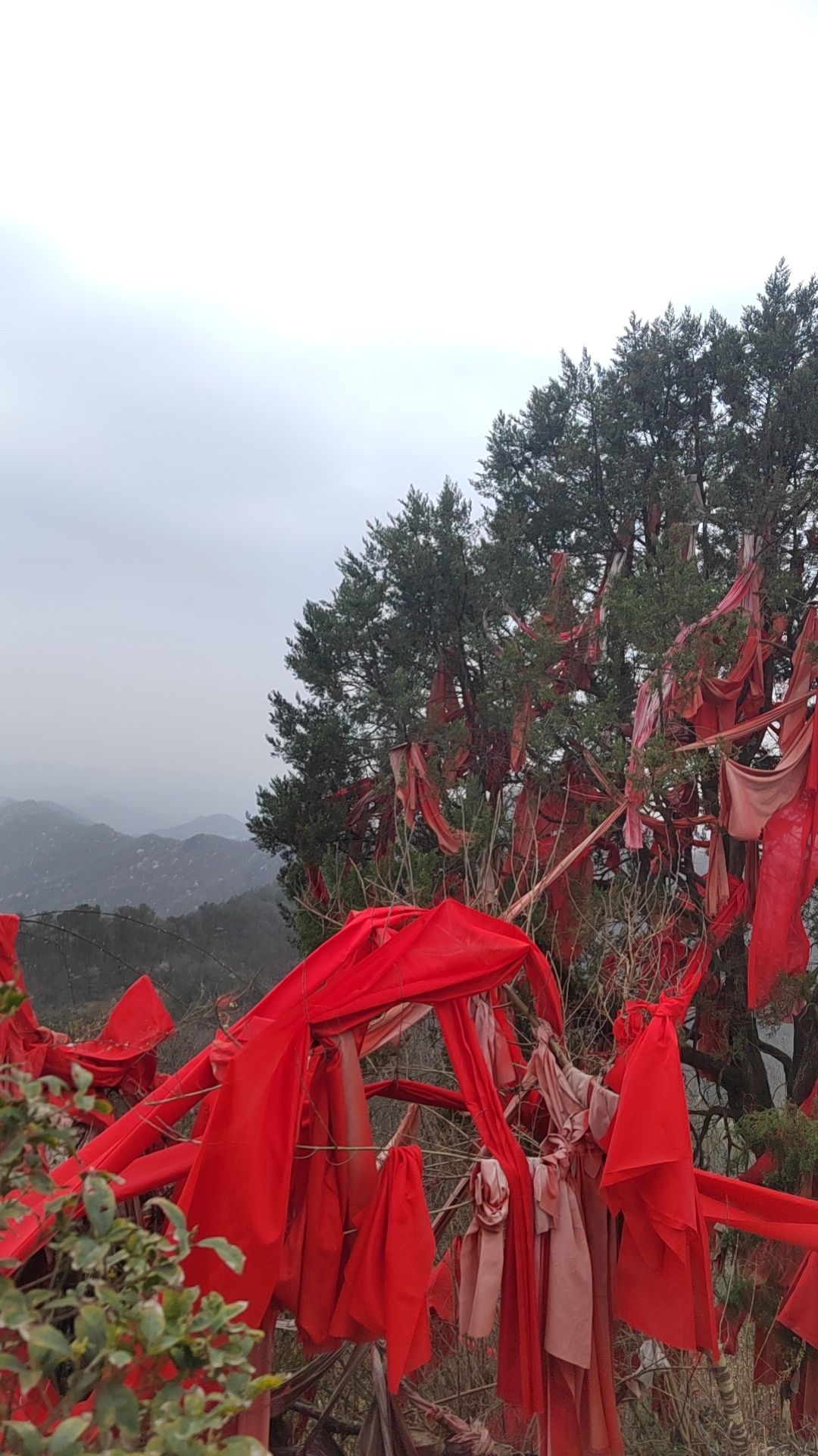 皞皇伏羲祠(高王庙)实景照片