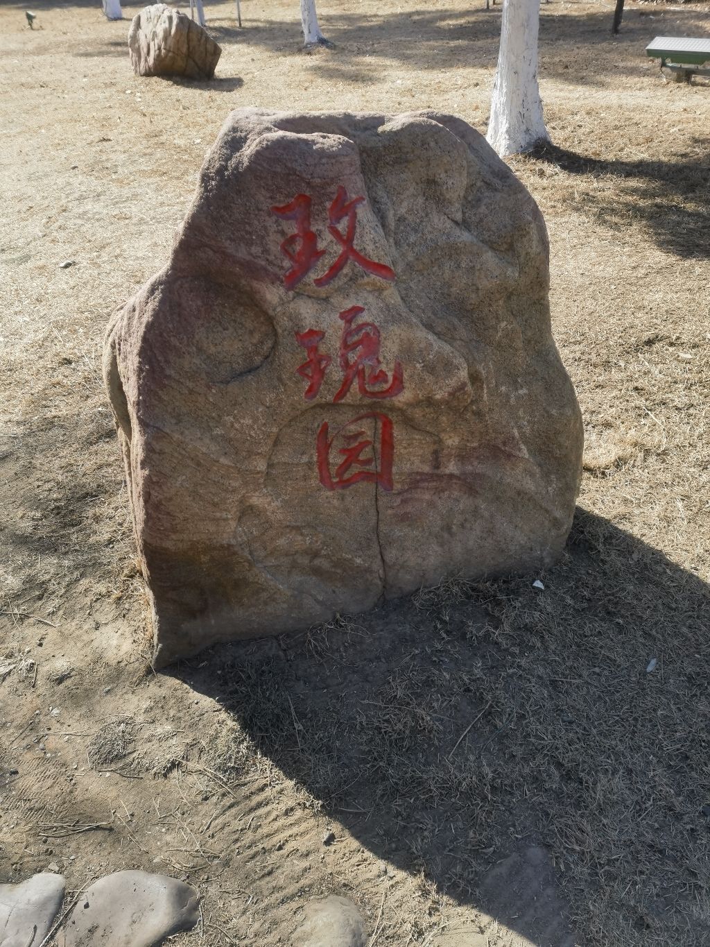 长春市儿童公园-玫瑰园