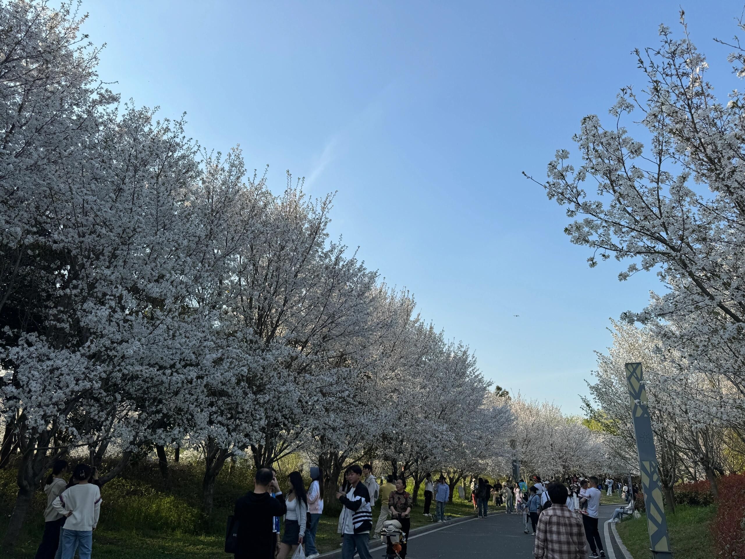 花博园(地铁站)
