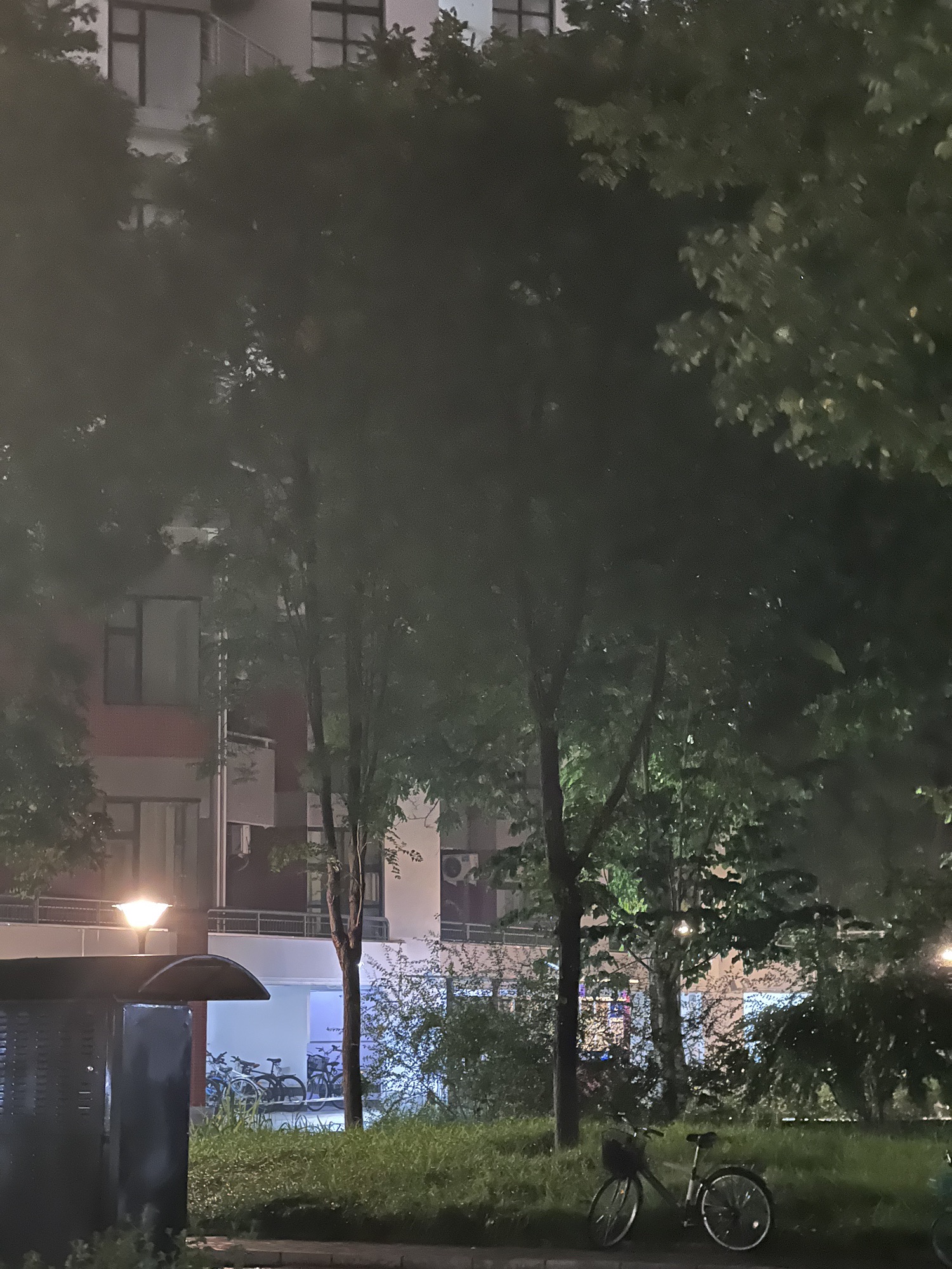 玉树园(公交站)