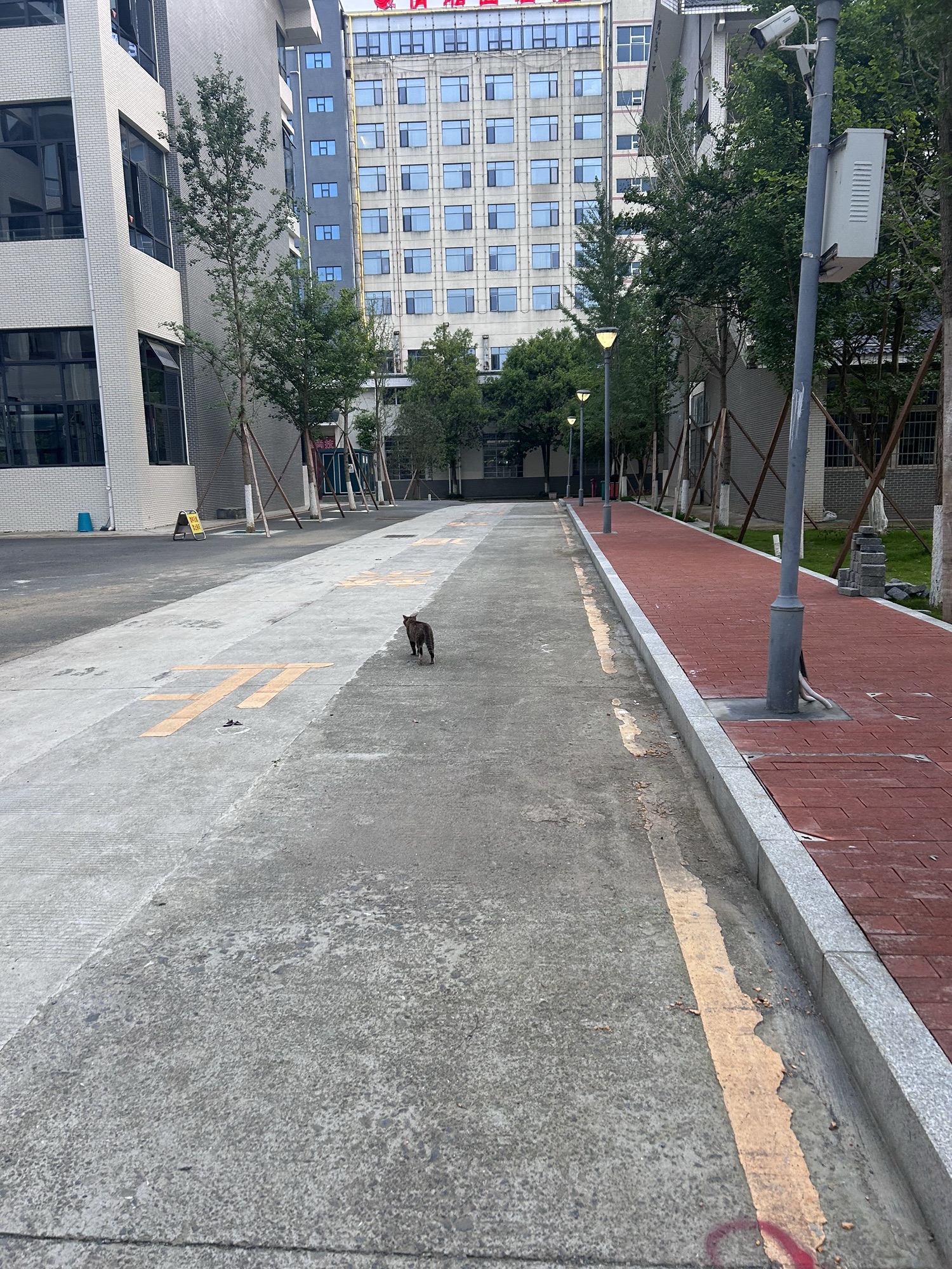 湘西职院(公交站)