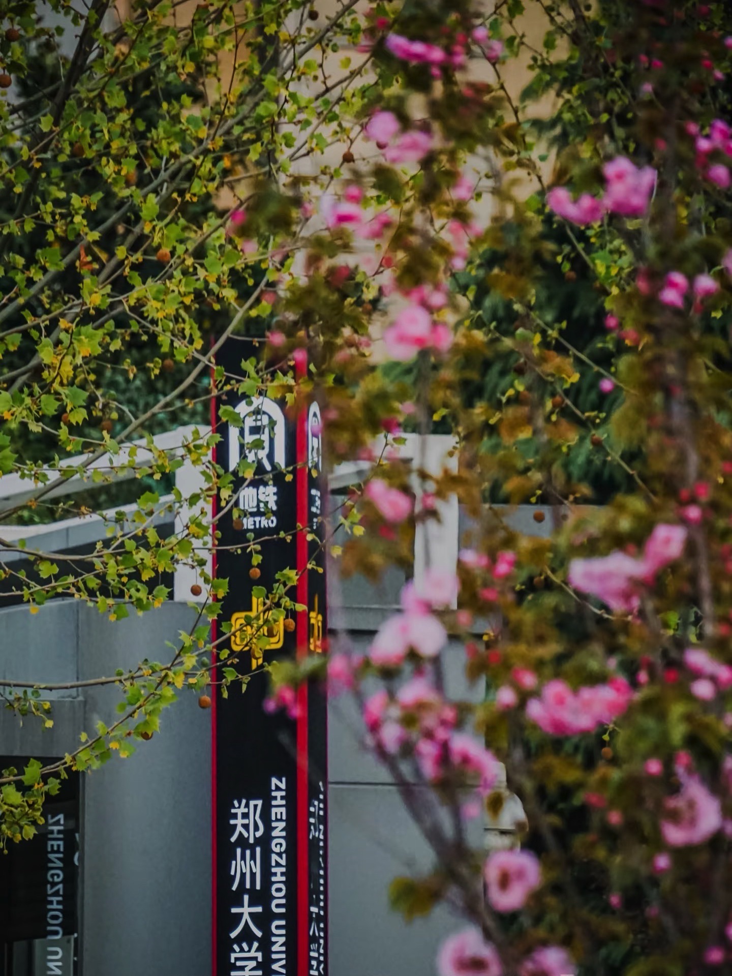 郑州大学(地铁站)