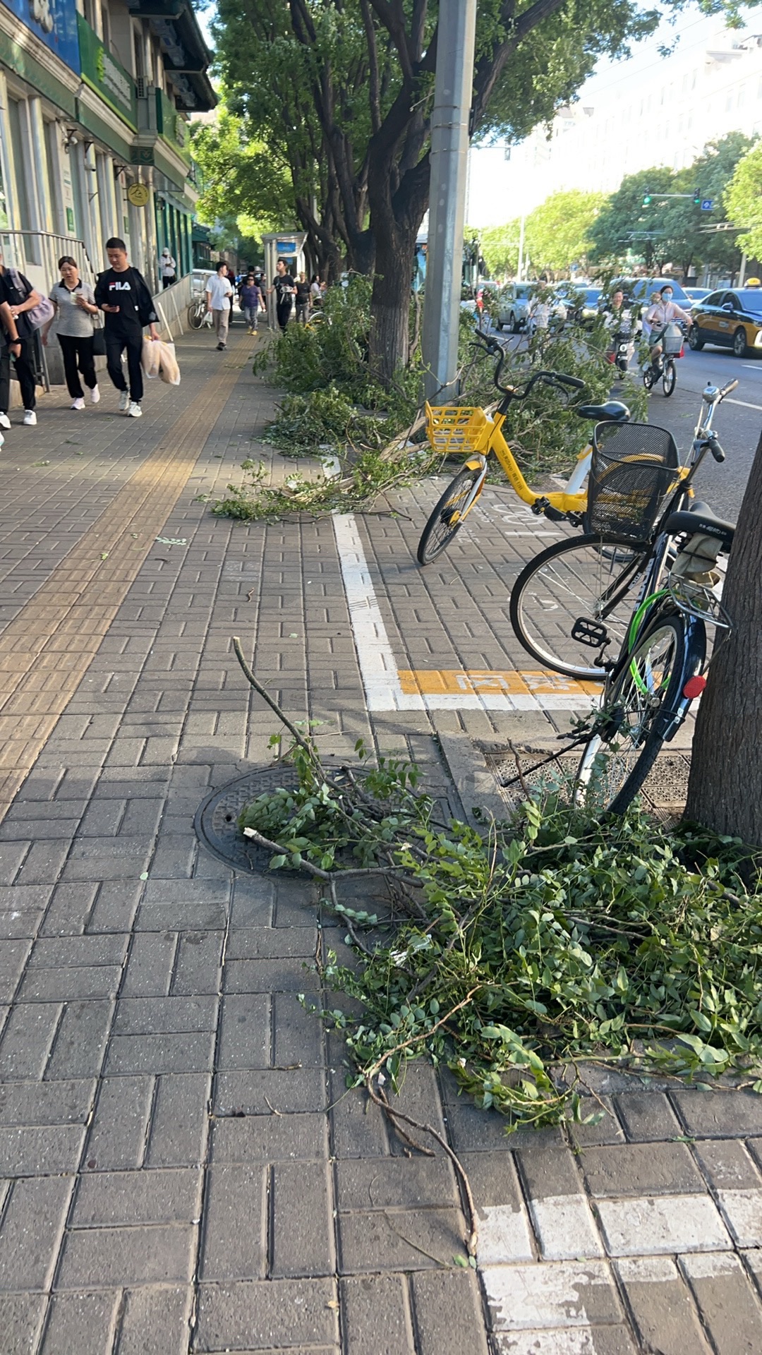 输入胡同