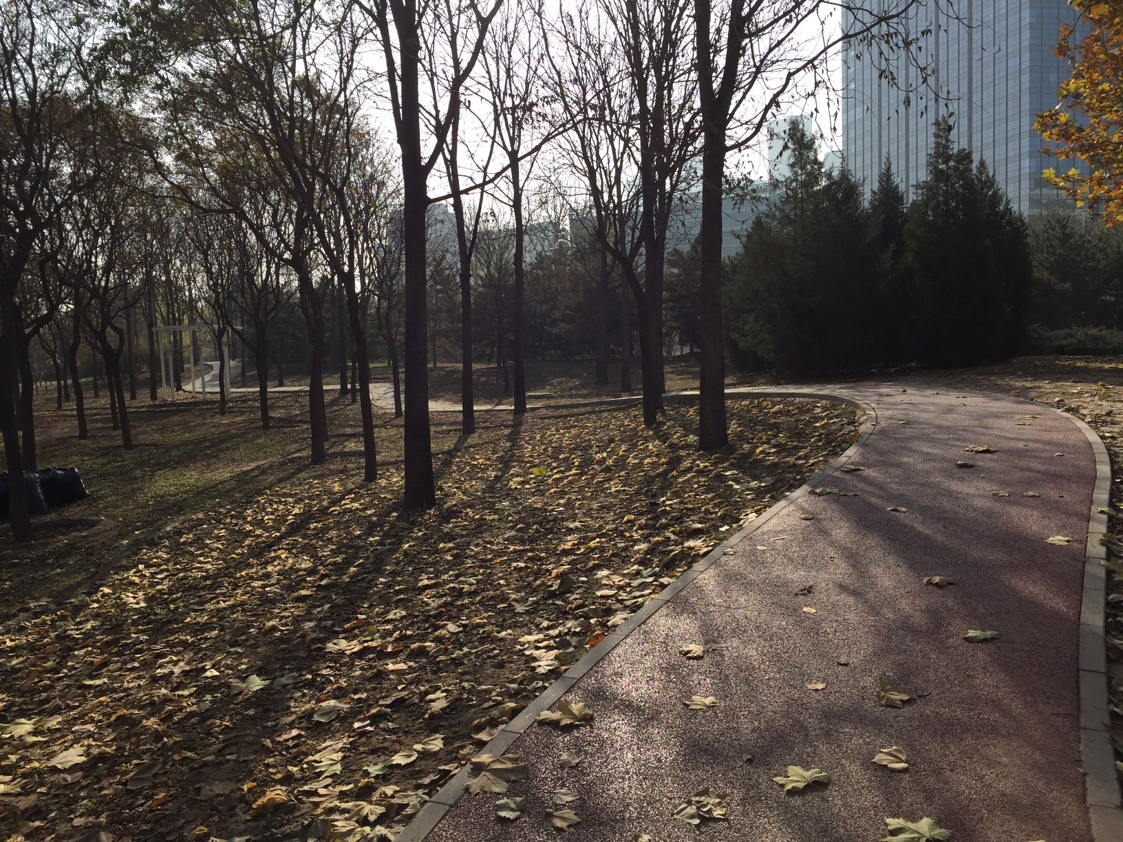 大望京公园步道