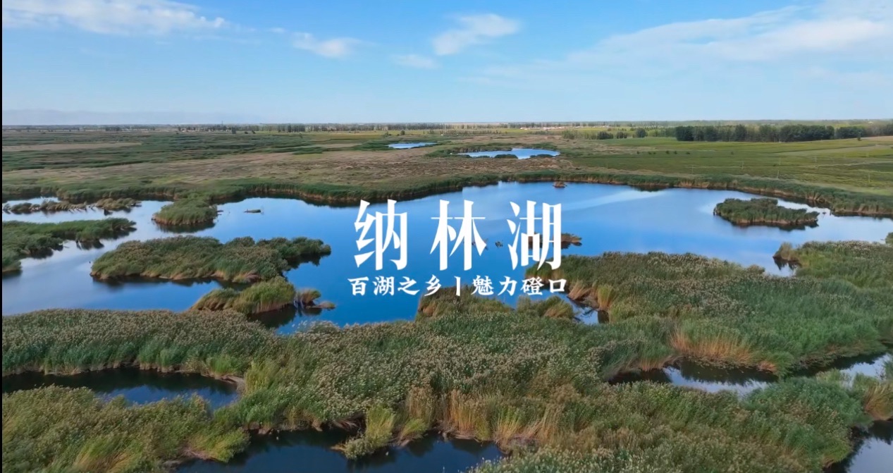 纳林湖收费站(G7京新高速出口)