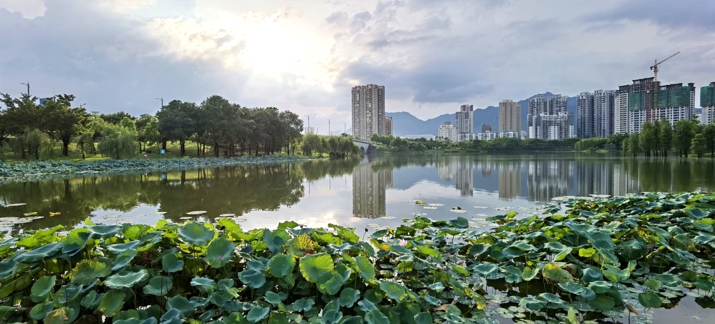 飞来湖公园