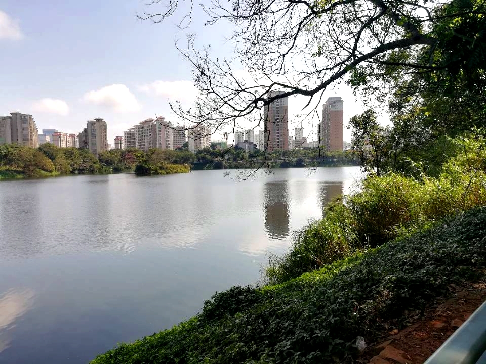 金牛岭公园