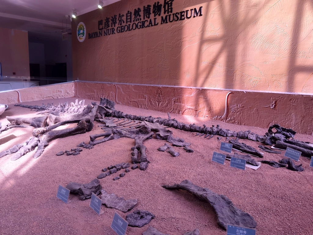 巴彦淖尔自然博物馆