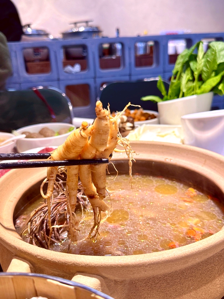 汤小姨鸡鱼火锅