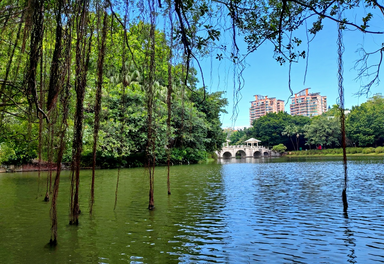 东湖公园