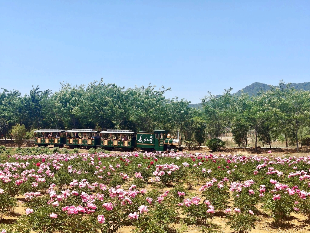十里长山漫花岭乐园景区
