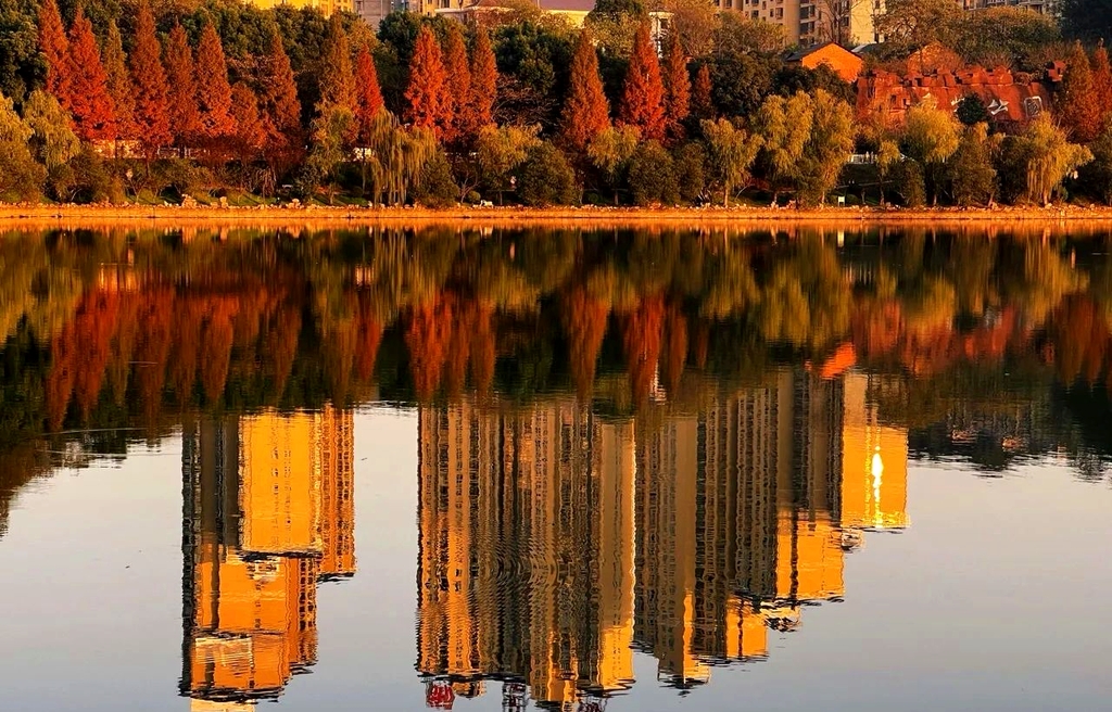 秀峰公园