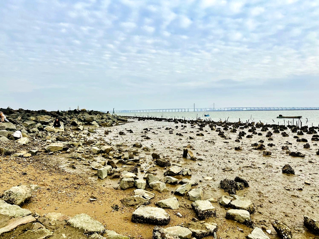 泉州滨海公园