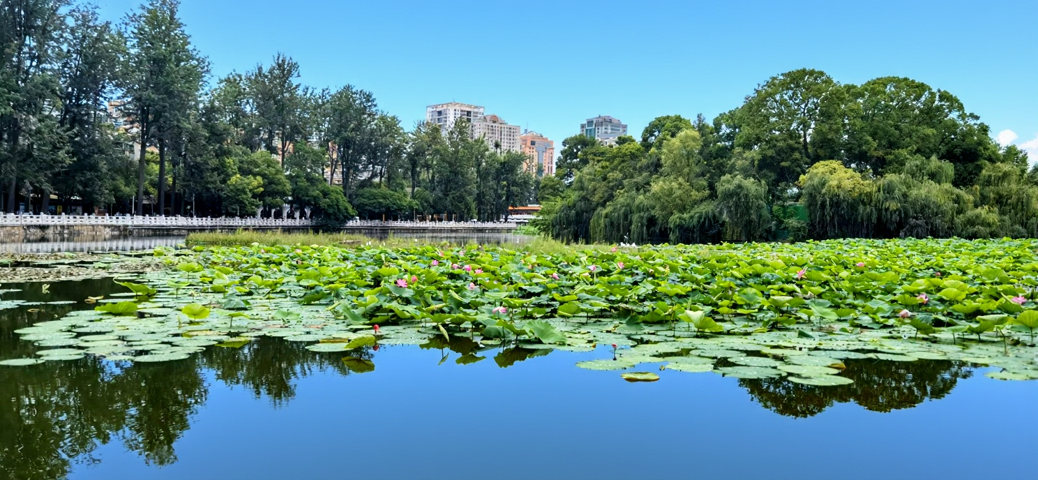 翠湖公园