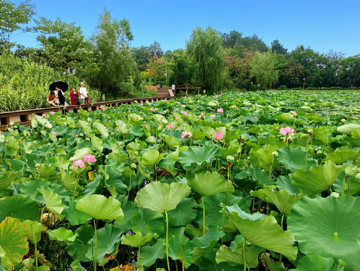 泸州市植物园