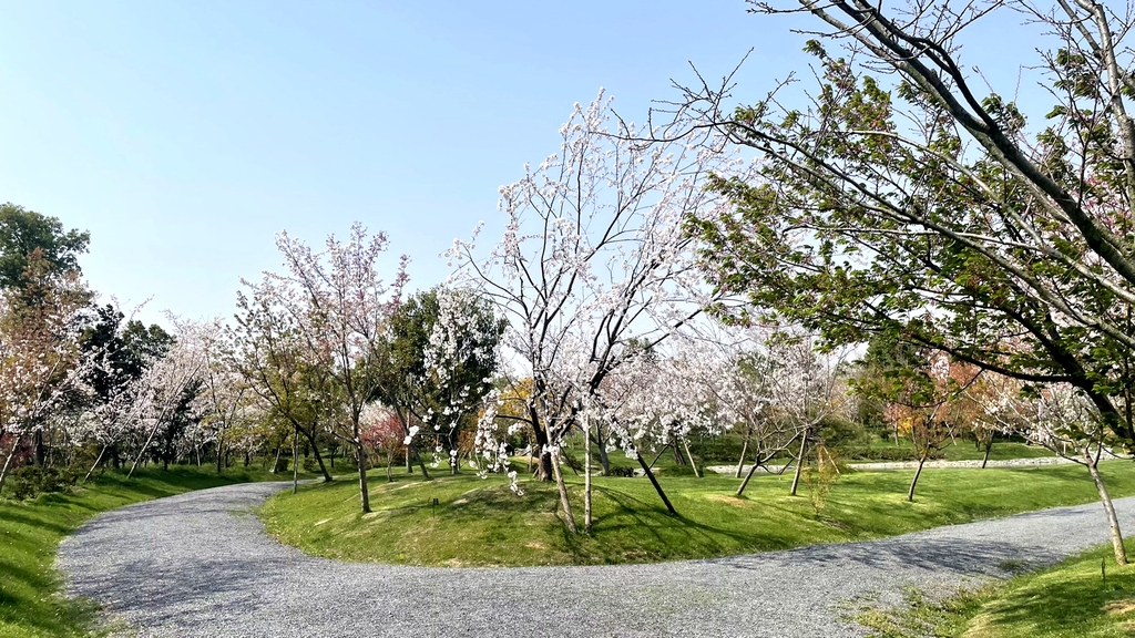 浅山森林美术园