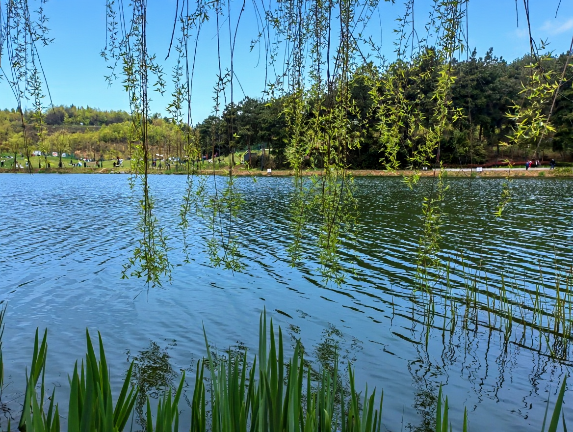 阅山湖公园