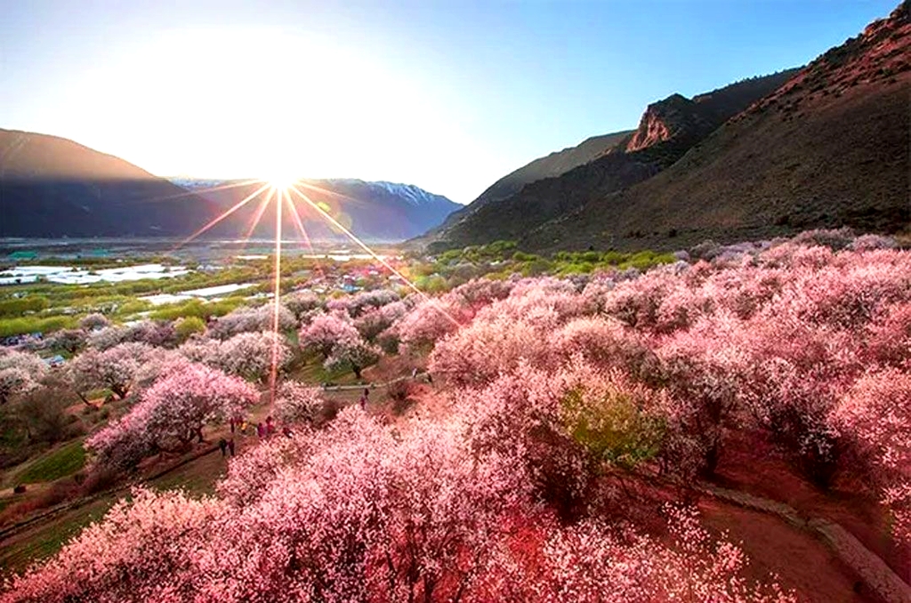 桃花源