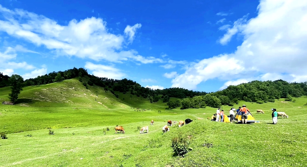 关山草原景区