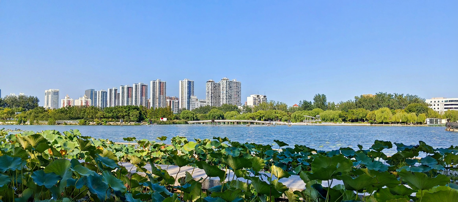 龙湖公园
