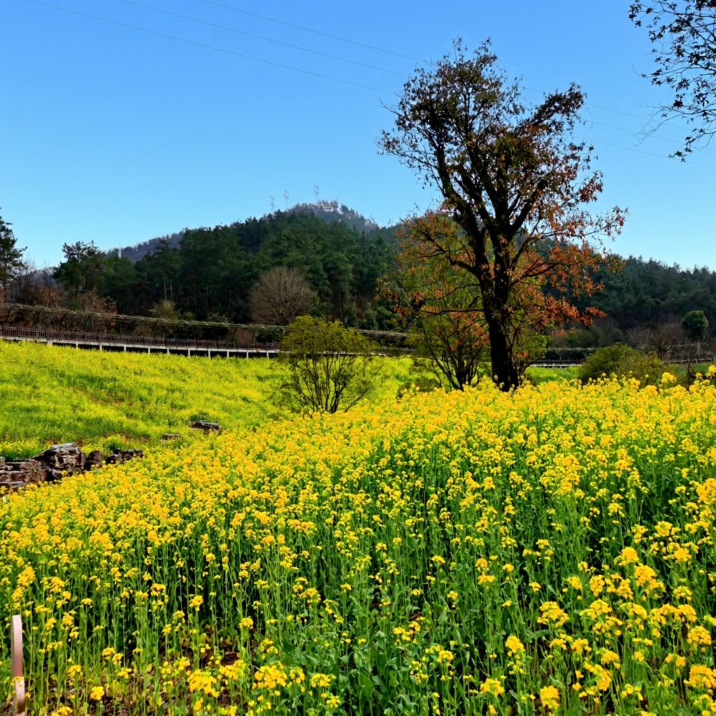 秦巴生态植物园