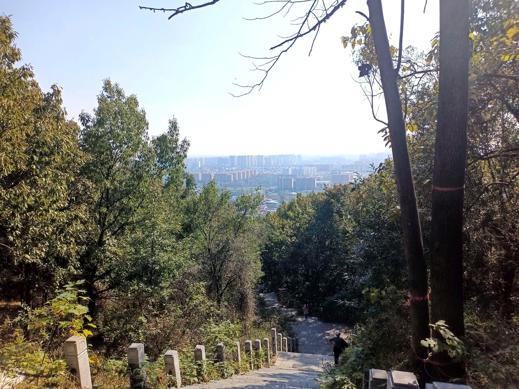 南阳独山森林公园