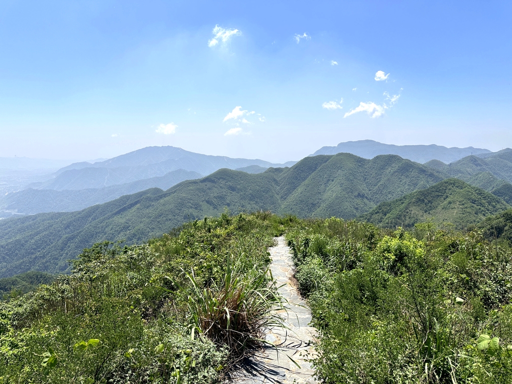龙角山十八拐