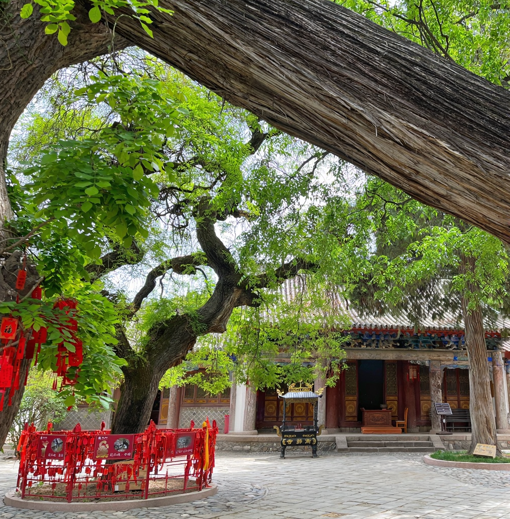 南郭寺