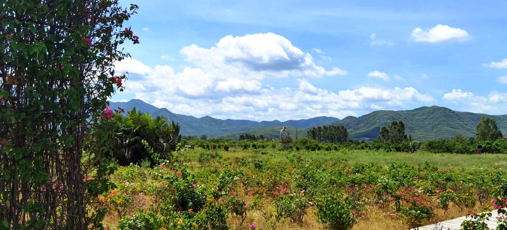 海南花梨谷文化旅游区