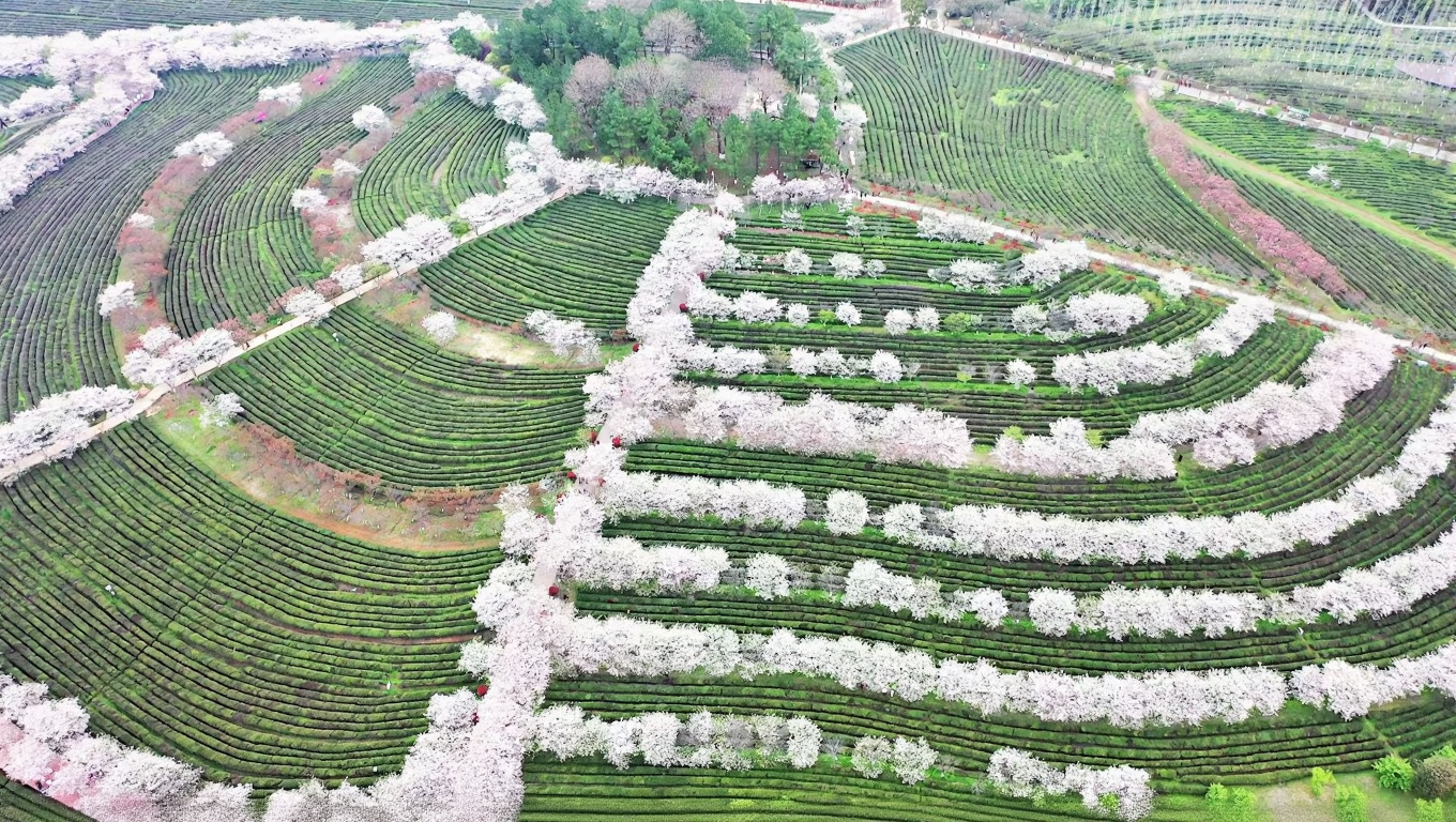 江西省凤凰沟风景区