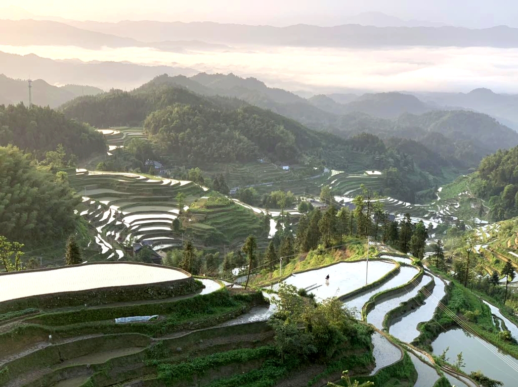 紫鹊界梯田景区