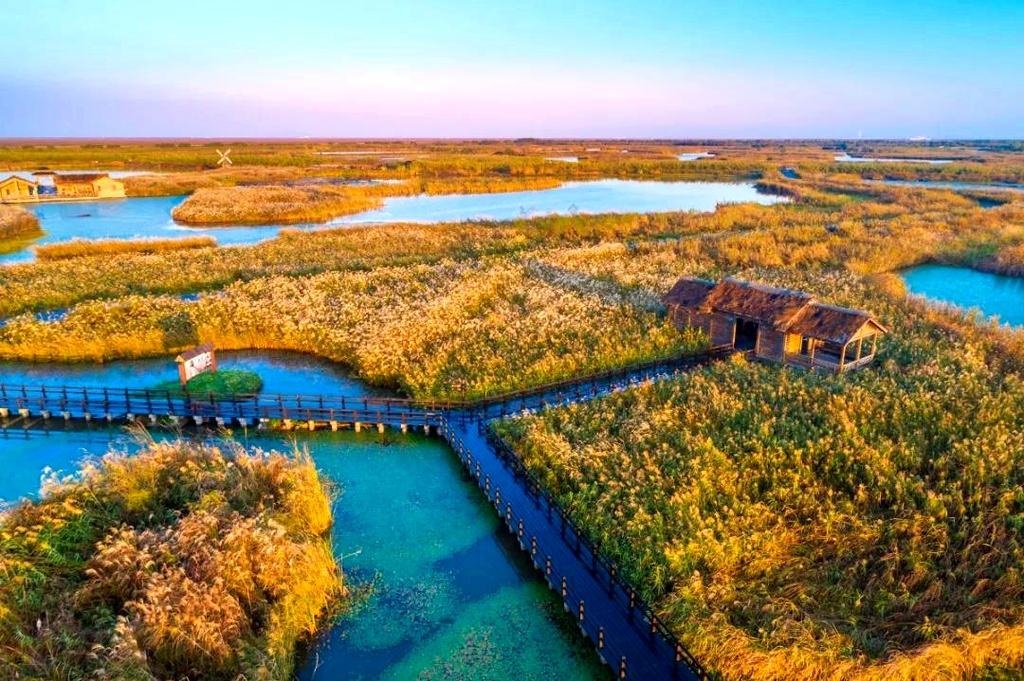杭州湾国家湿地公园