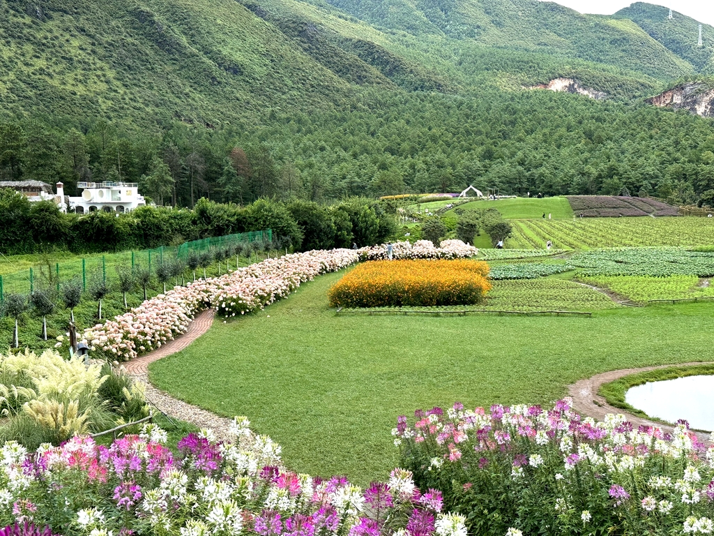 听花谷