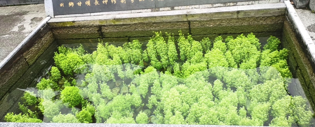 张坊古井