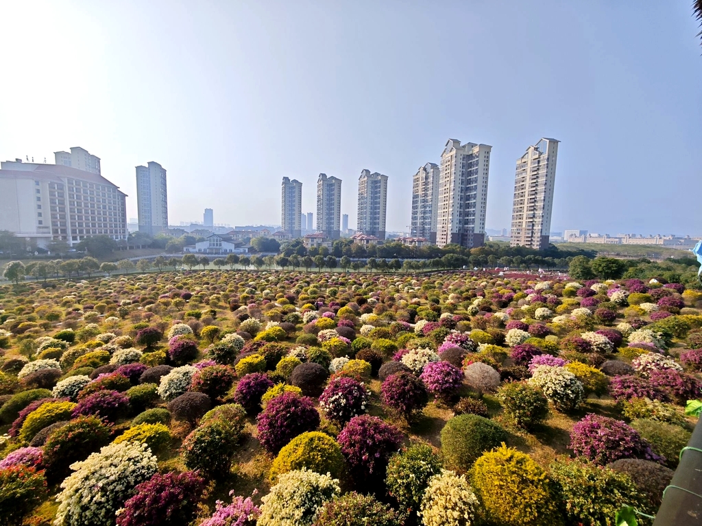 千花洲度假区