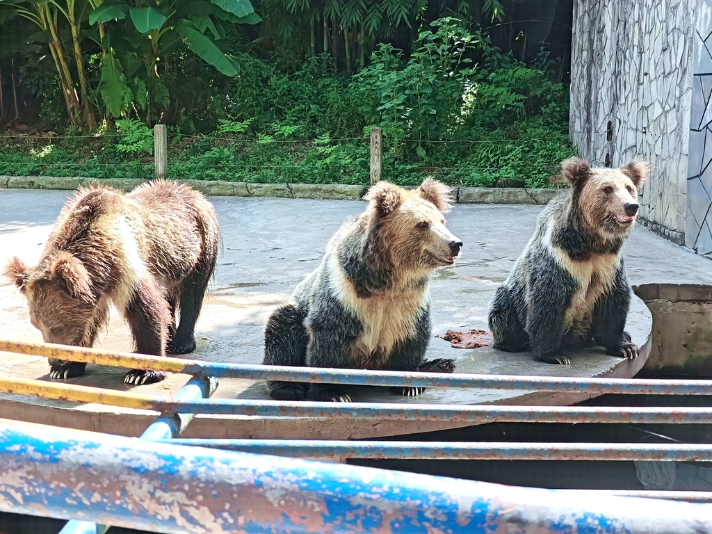 贵州森林野生动物园