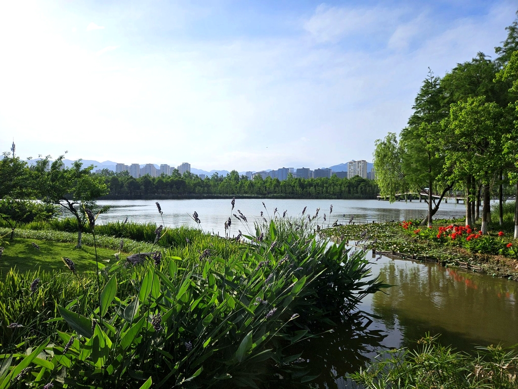 乐清市清和公园