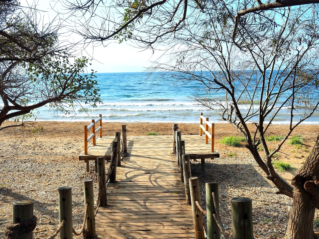 月亮湾湿地公园